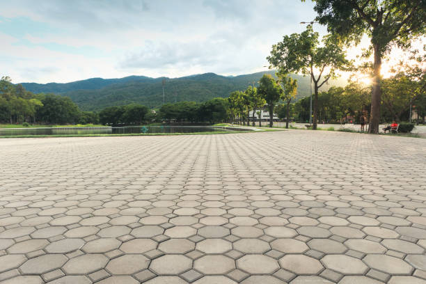 Best Brick Driveway Pavers  in Cary, NC